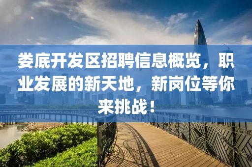 娄底开发区招聘信息概览，职业发展的新天地，新岗位等你来挑战！