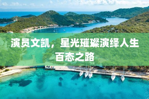 演员文凯，星光璀璨演绎人生百态之路