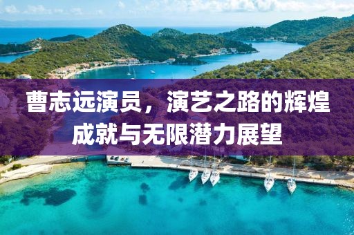 曹志远演员，演艺之路的辉煌成就与无限潜力展望