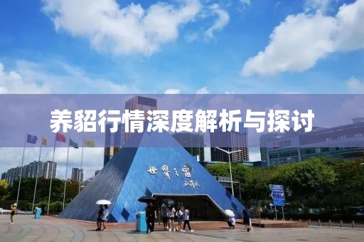养貂行情深度解析与探讨