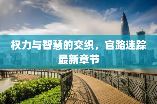权力与智慧的交织，官路迷踪最新章节