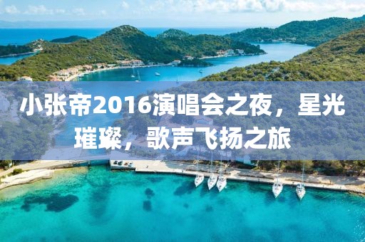 小张帝2016演唱会之夜，星光璀璨，歌声飞扬之旅