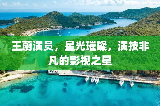 王蔚演员，星光璀璨，演技非凡的影视之星