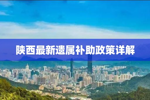 陕西最新遗属补助政策详解