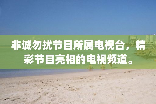 非诚勿扰节目所属电视台，精彩节目亮相的电视频道。