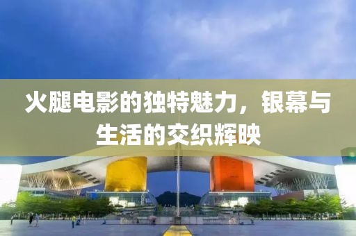 火腿电影的独特魅力，银幕与生活的交织辉映