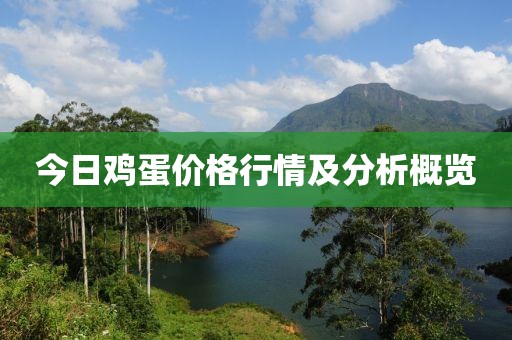 今日鸡蛋价格行情及分析概览