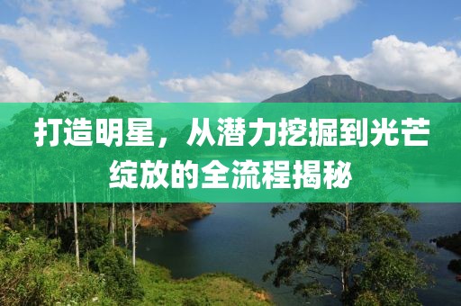打造明星，从潜力挖掘到光芒绽放的全流程揭秘