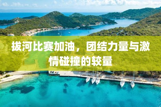 拔河比赛加油，团结力量与激情碰撞的较量