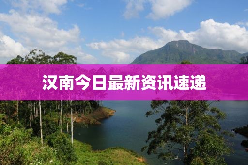 汉南今日最新资讯速递