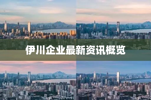 伊川企业最新资讯概览