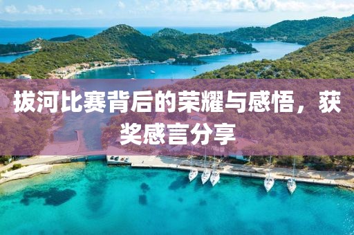 拔河比赛背后的荣耀与感悟，获奖感言分享