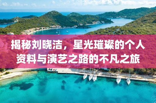 揭秘刘晓洁，星光璀璨的个人资料与演艺之路的不凡之旅