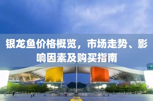 银龙鱼价格概览，市场走势、影响因素及购买指南