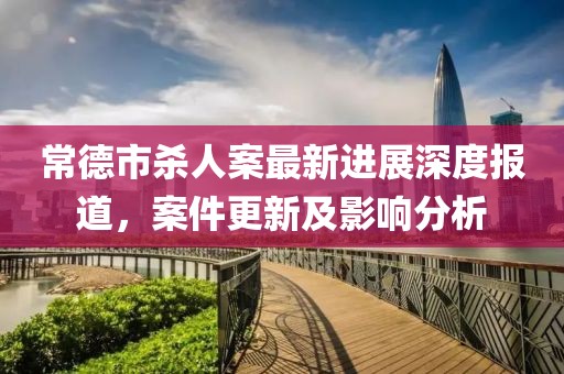 常德市杀人案最新进展深度报道，案件更新及影响分析