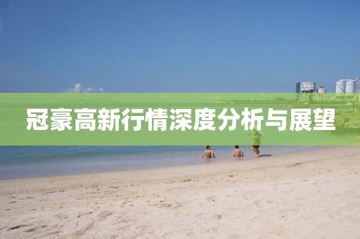 冠豪高新行情深度分析与展望