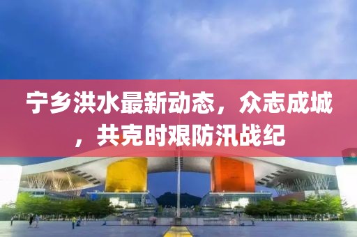 宁乡洪水最新动态，众志成城，共克时艰防汛战纪