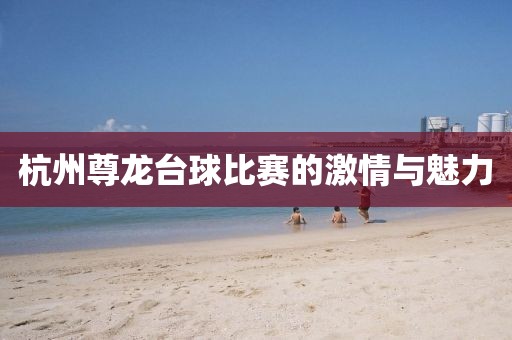 杭州尊龙台球比赛的激情与魅力