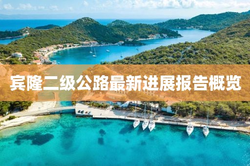 宾隆二级公路最新进展报告概览