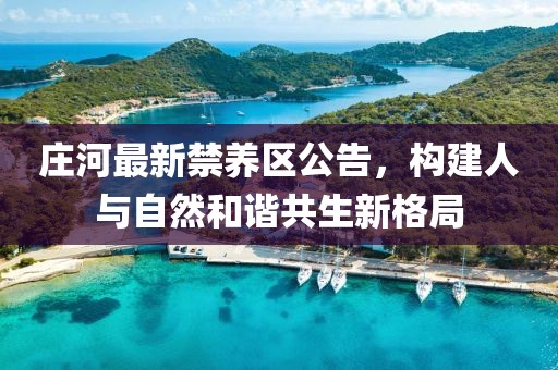 庄河最新禁养区公告，构建人与自然和谐共生新格局