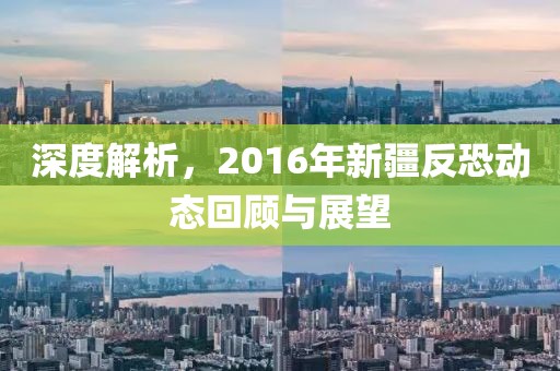 深度解析，2016年新疆反恐动态回顾与展望