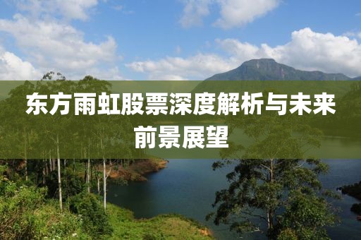 东方雨虹股票深度解析与未来前景展望