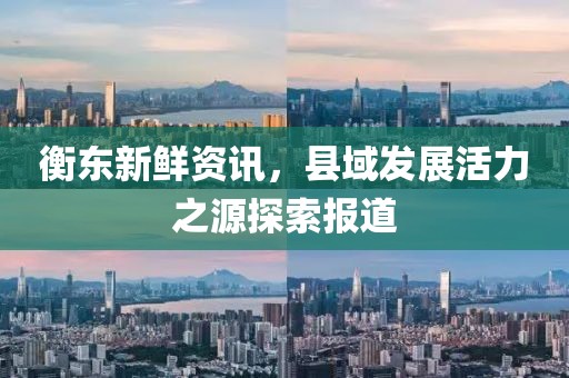 衡东新鲜资讯，县域发展活力之源探索报道