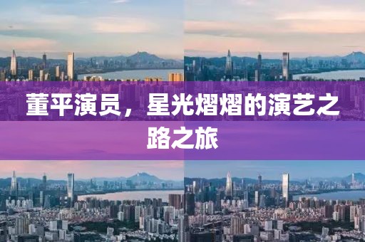 董平演员，星光熠熠的演艺之路之旅