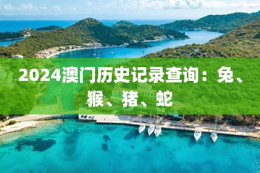 2024澳门历史记录查询：兔、猴、猪、蛇