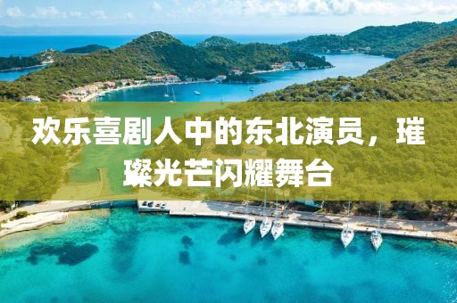 欢乐喜剧人中的东北演员，璀璨光芒闪耀舞台