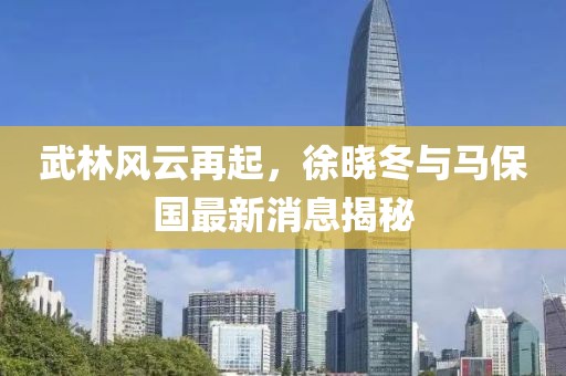武林风云再起，徐晓冬与马保国最新消息揭秘