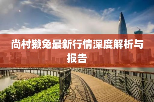尚村獭兔最新行情深度解析与报告