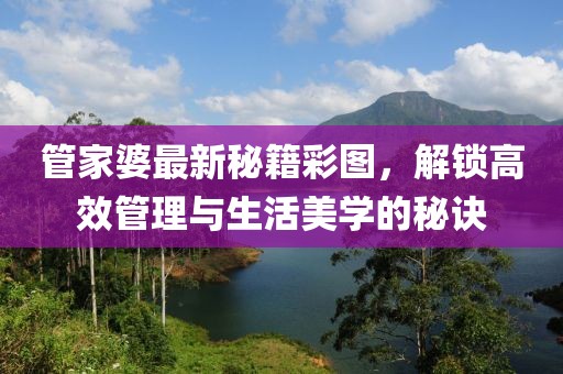 管家婆最新秘籍彩图，解锁高效管理与生活美学的秘诀