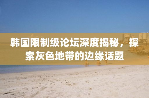 韩国限制级论坛深度揭秘，探索灰色地带的边缘话题