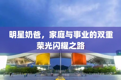 明星奶爸，家庭与事业的双重荣光闪耀之路