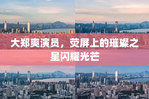 大郑爽演员，荧屏上的璀璨之星闪耀光芒