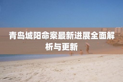 青岛城阳命案最新进展全面解析与更新