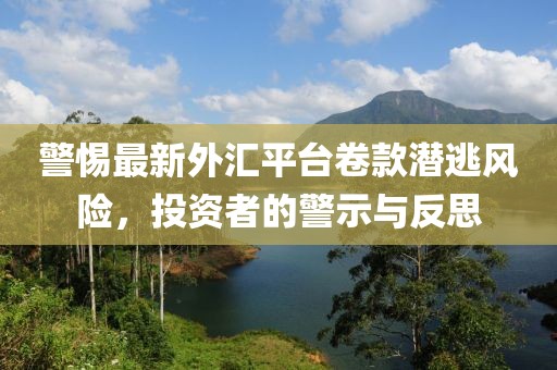 警惕最新外汇平台卷款潜逃风险，投资者的警示与反思