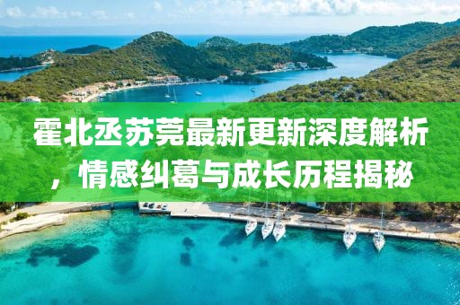 霍北丞苏莞最新更新深度解析，情感纠葛与成长历程揭秘