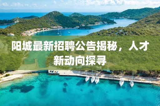 阳城最新招聘公告揭秘，人才新动向探寻