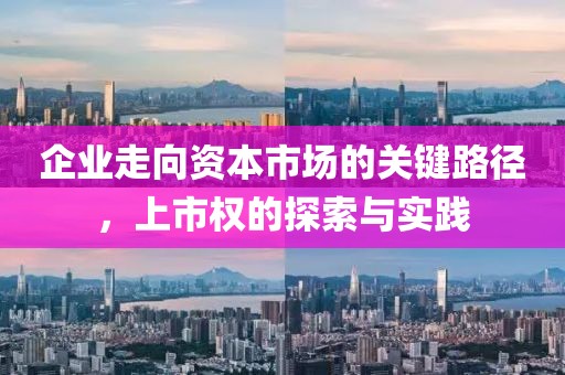 企业走向资本市场的关键路径，上市权的探索与实践