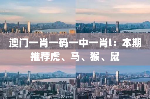 澳门一肖一码一中一肖l：本期推荐虎、马、猴、鼠