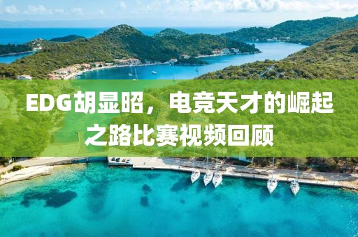 EDG胡显昭，电竞天才的崛起之路比赛视频回顾