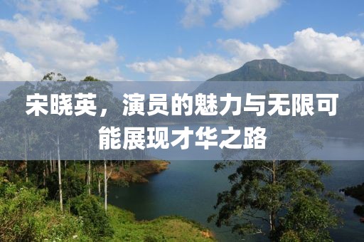 宋晓英，演员的魅力与无限可能展现才华之路