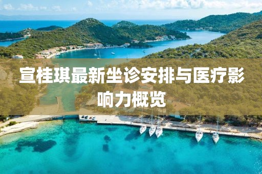 宣桂琪最新坐诊安排与医疗影响力概览
