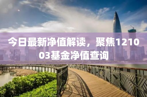 今日最新净值解读，聚焦121003基金净值查询