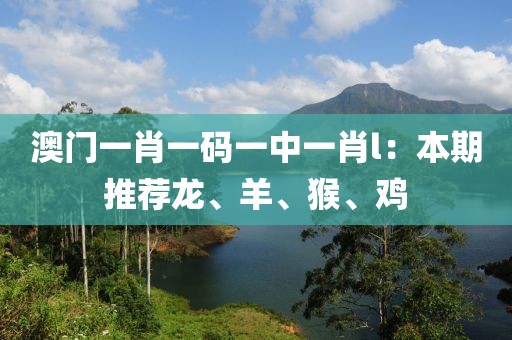 澳门一肖一码一中一肖l：本期推荐龙、羊、猴、鸡