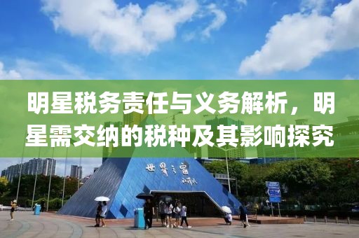 明星税务责任与义务解析，明星需交纳的税种及其影响探究