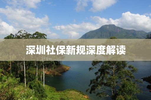 深圳社保新规深度解读