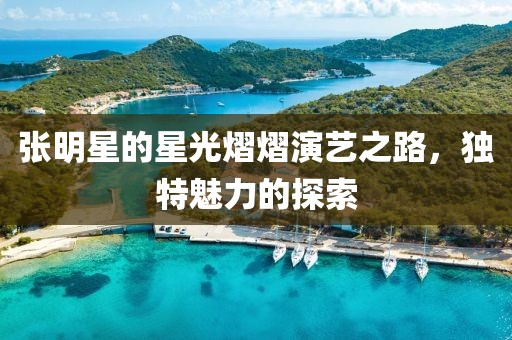 张明星的星光熠熠演艺之路，独特魅力的探索
